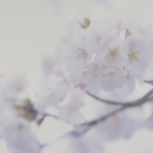 XXXX💋❤👙👙241
